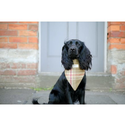 Bandana fr hund - Charlie Arncliffe Moonstone