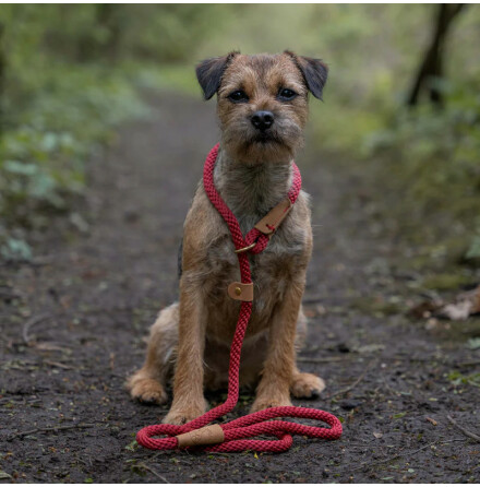 Koppel - R&amp;T Slip Lead/Retrieverkoppel Rosehip