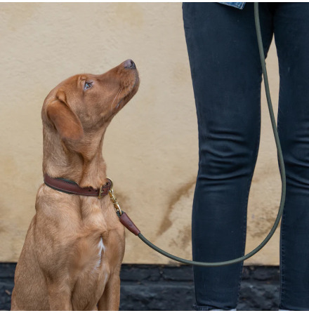 R&amp;T Morston Rolled Clip Lead